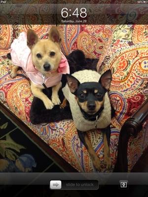 photo of Charlene W.