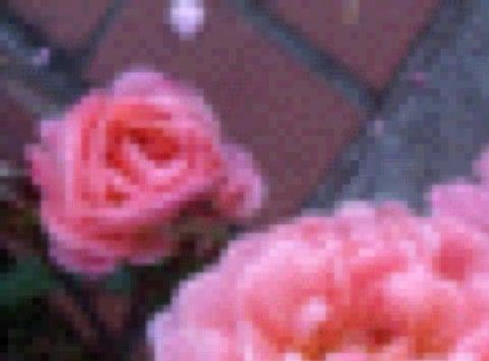 photo of J. Kirsten E.