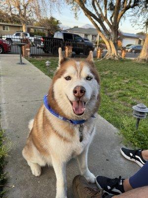 Photo of Rico V.