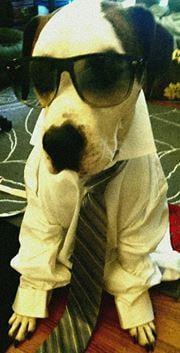 photo of Alexander C.