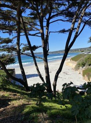 Carmel Beach
