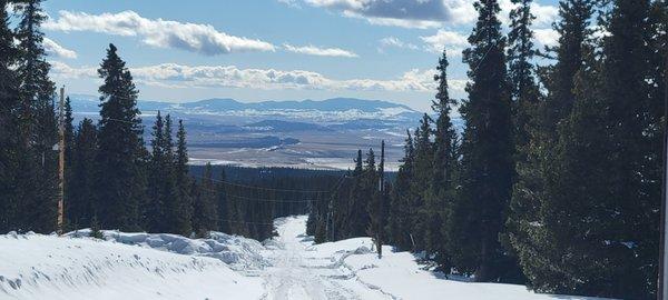 Divine Connection Ministry