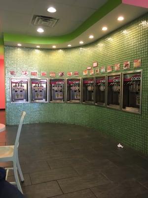 All the frozen yogurt choices!!!!