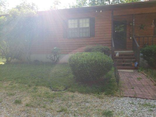 How much to trim the bushes.