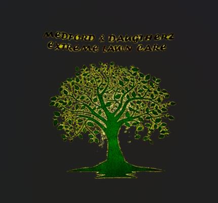 Medford & Daughterz Extreme Landscaping