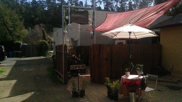 great selection of flowers and so many pretty roses! just bought the wife a huge bunch of roses for valentines day!