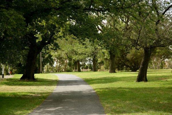 MC Tree Service & Landscaping