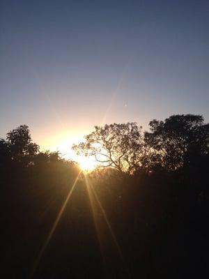 University Hiking Trail