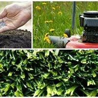 The Yardists Lawn and Landscaping