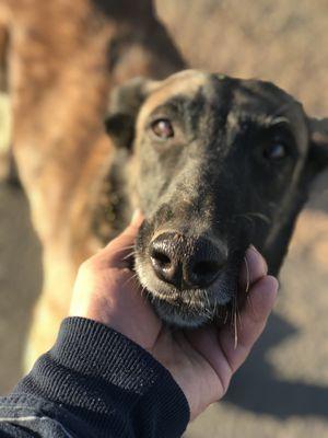 Grand Canal Linear Park