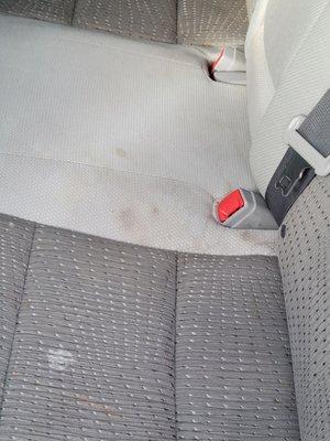 Cactus Auto and Detailing