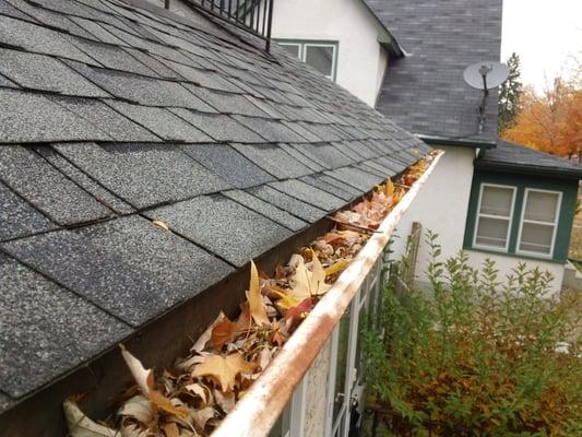 Minnesota Gutter Cleaning, Inc.
