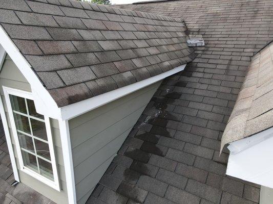 Home roof covering inspection
