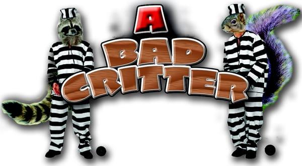 A Bad Critter Raccoon & Squirrel Removal