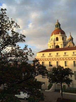 view from office courtyard, taken by iPhone.
