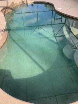 Pool is turning green