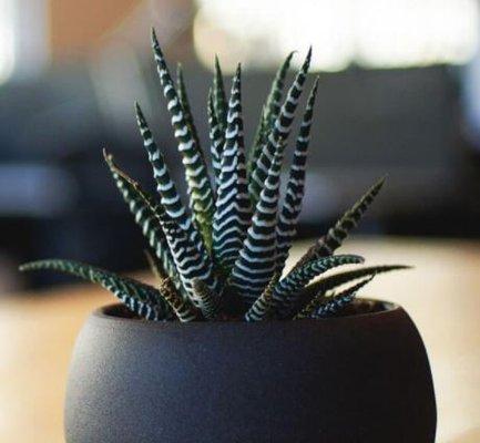 Bay Bee's Janitorial