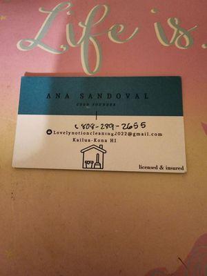 Lovely Notion Cleaning