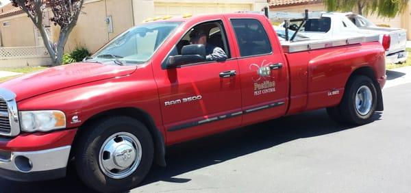 Pacifico Pest Control