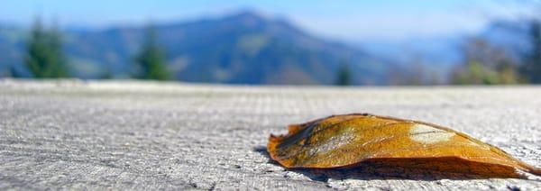 Jeffery S Driskell, LCSW