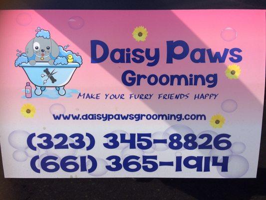 Daisy Paws Mobile Grooming