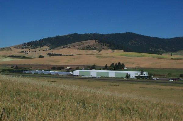 This is our facility looking NW from the WA/ID State line. Tekoa Mountain is in the background.