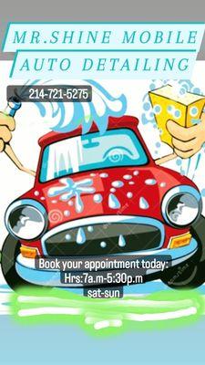 Mr.Shine Mobile Auto Detailing