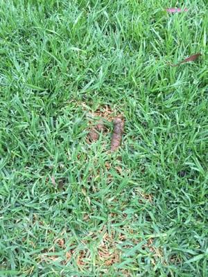 Right outside the entrance and you will find it all around the building!