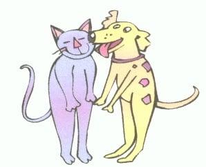 No Worries Pet Sitting