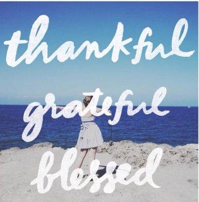 Liz Life & Business Coach