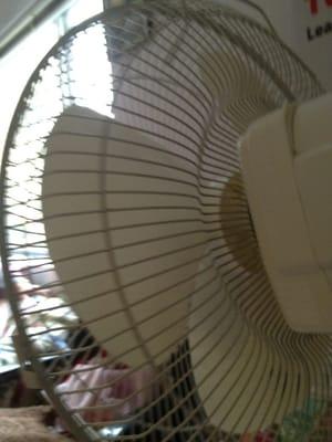 Auto Xchange Auto Banx