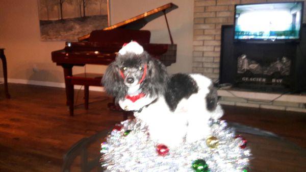 After photo with my puppy who was all over the place!!!!!