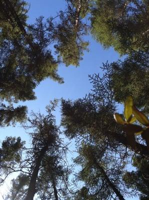 Land Management Solutions, LLC