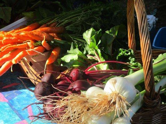 Fresh and local, chemical free produce from the Clarkesville Farmers Market at Clarkesville Marketplace in Downtown Clarkesville.