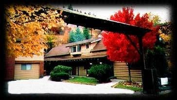 Mountain View Cabins