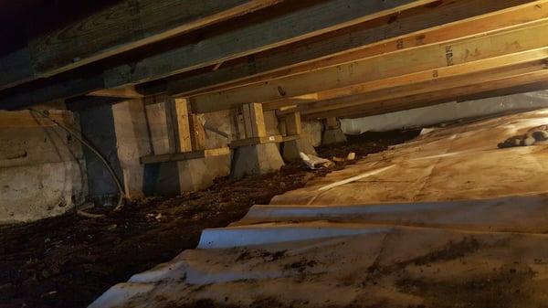 PJs Basement Solutions