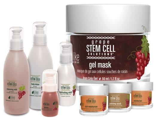 Gaia Goddess Healing