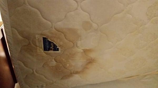 Underside of matress - While doing my obsessive bed bug inspection