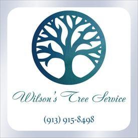 Wilson's Tree Service