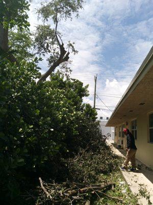 Valley Verde Lansdcaping