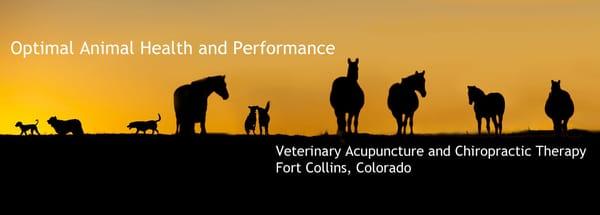 Optimal Animal Health and Performance