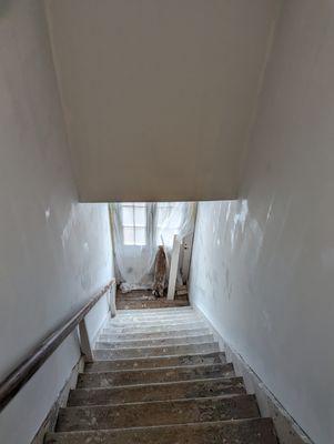 Luchin Wright Painting