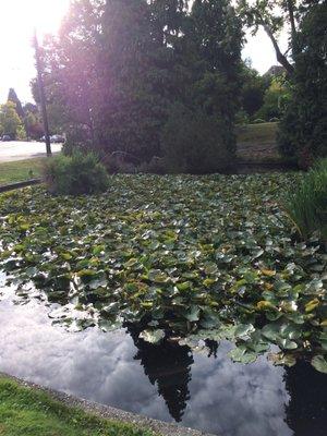 Denny Blaine Lake Park