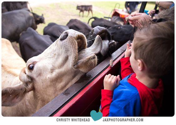 Country Bumpkins Child Care