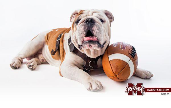 Dixie Electrical Controls & Automation