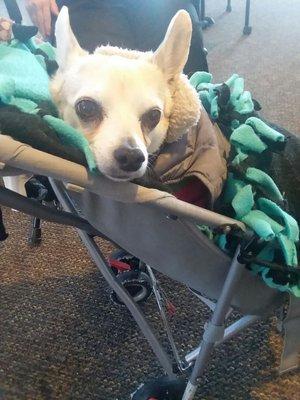 Parkway Gardens Apartments