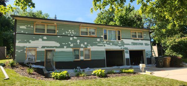 Forever Painting R & D