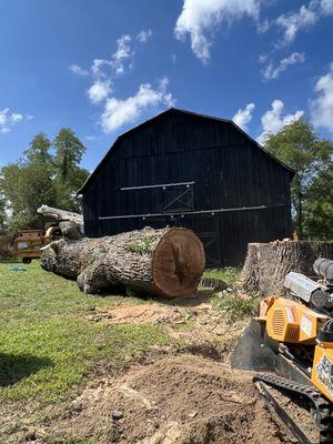 Hardin County Tree Service