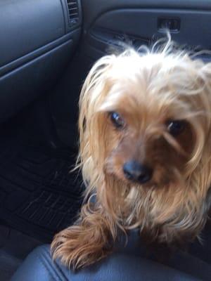 Cochran Wesley L DVM