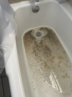 Sasseen Realty Group